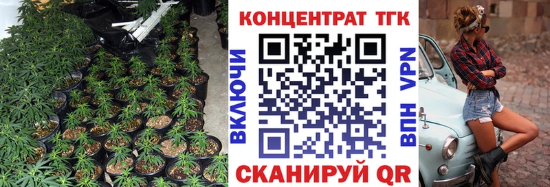 ТГК Wax  ОМГ ОМГ маркетплейс  Элиста  даркнет сайт 
