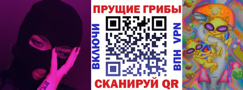 купить наркоту  Элиста  Псилоцибиновые грибы Magic Shrooms 